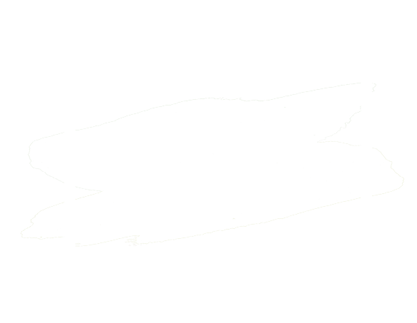 Valparaiso Art Festival