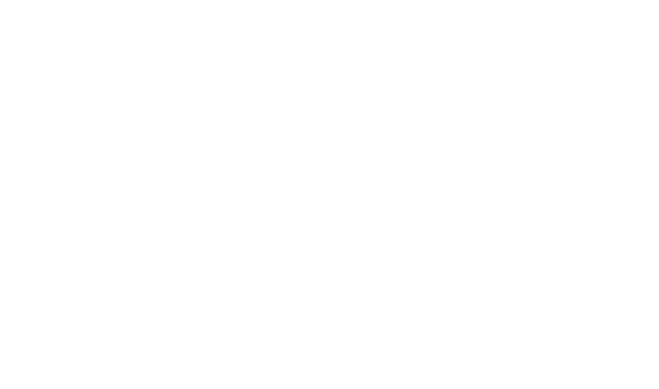 Evanston Art Fest