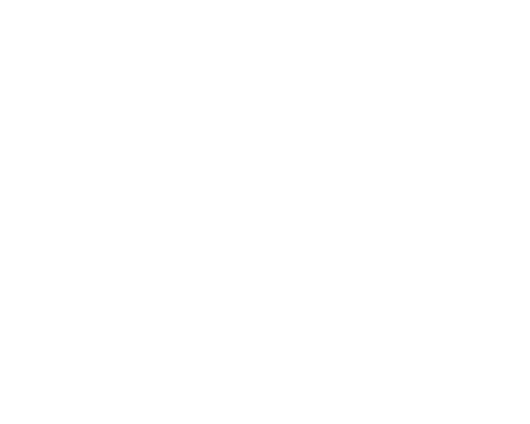 Barrington Art Festival