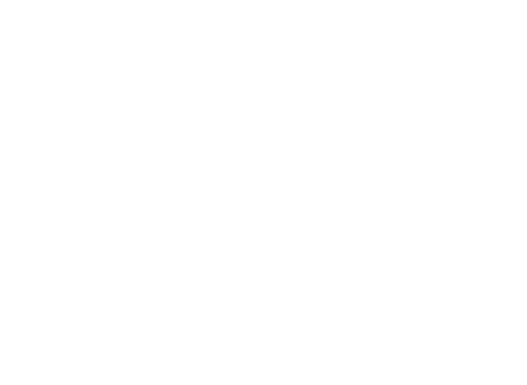 Millennium Art Festival