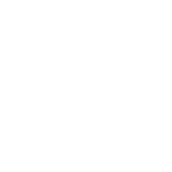 Burr Ridge Art Fair