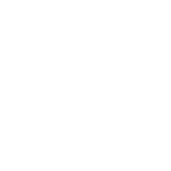 Evanston Art & Big Fork Festival