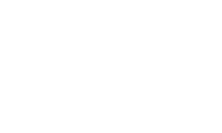 Hinsdale Art in the Park
